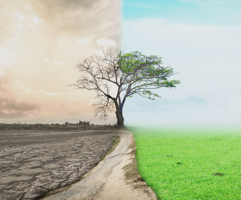 עולם ירוק יותר סוף עידן האנרגיה המזהמת.jpg