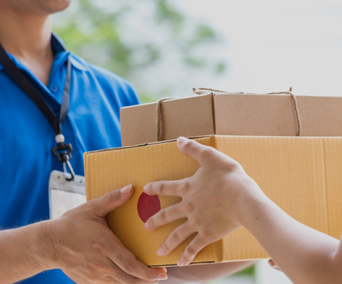 טמפלט - מהמחסן ישירות לצרכן.jpg