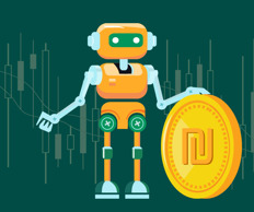 התאמת גודל 14.3.24